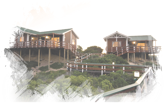 River Spa Pine Lodge